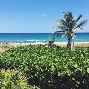 Meet your Posher, Kristin